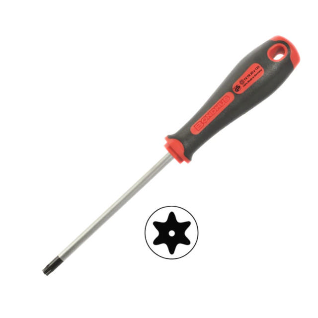 Torx Tamper